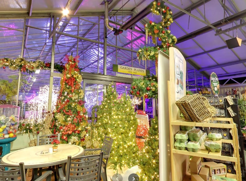 As well as offering what it describes as 'one of the largest ranges of Christmas tree decorations in the North East', the garden centre has a range of artifical and real Christmas trees. Customers can call 0191 417 7777 or email info@claysgc.co.uk for more information.