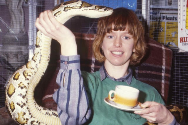 Judy Prowse broke the world snake sit-in record by being penned in with four pythons and a boa constrictor for 51 hours at Lambton Park Garden Centre in 1986.