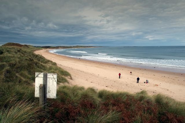 The walk from Newton-by-the-Sea, around the gorgeous sweep of Embleton Bay, to Dunstanburgh Castle, is lovely at any time of the year.