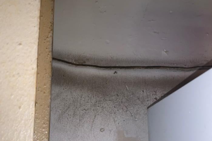 The checks found smears marks in the grease on the walls, showing where rats had run between a cable from a fridge to another area of the kitchen.