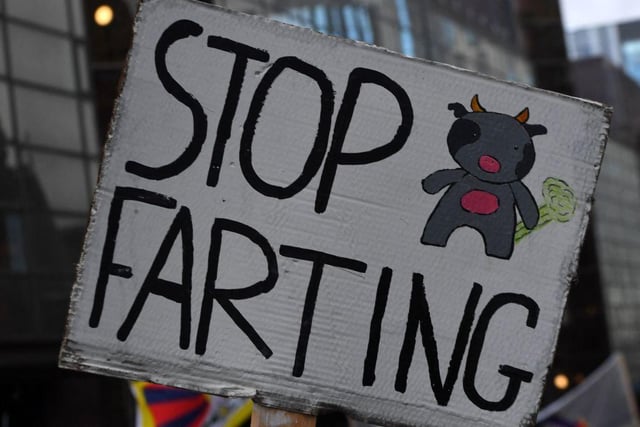 One protester opts for toilet humour when highlighting the environmental impact of beef farming (Getty Images)