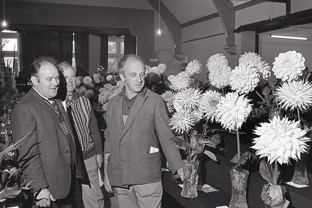 The winning Dahlias from Burbage show in 1980