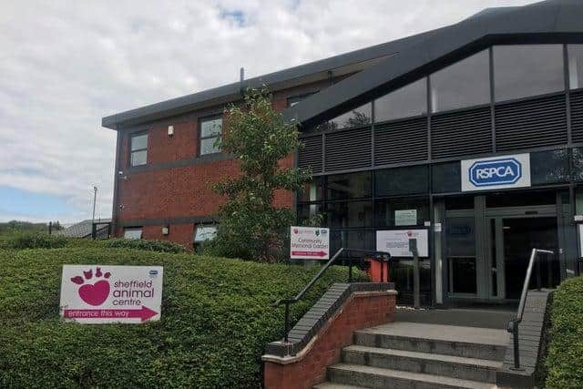 The RSPCA branch in Sheffield is at risk of closure