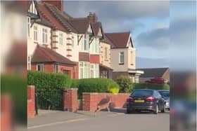 Taken by Tom Bird, the video shows the lone deer stopped dead by the gate of a house on Park Avenue, Chapeltown, before galloping up the road until it is out of sight