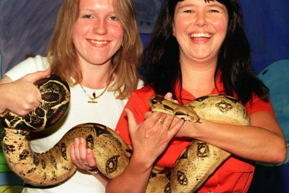 This massive snake visited the Doncaster Central Library in 1998. Wrapped around library assistants Carol Wootton and  Gemma Looker.