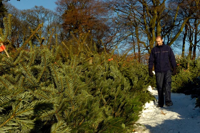 The Longshaw Estate in the Peak District near Sheffield managed to stay open, despite the snow,  to sell its Christmas trees to the public in December 2014