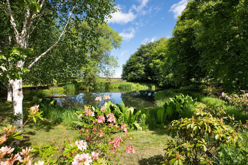 Externally, there's so much to explore - this stunning pond being just one of many areas to relax and unwind.