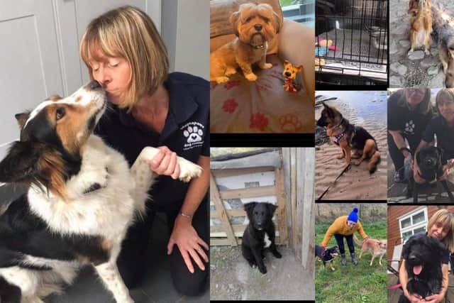 Debbie Fryer says the ruling by the Eurotunnel remains unclear and could be a 'death sentence' to thousands of dogs waiting to be rehomed in the UK
