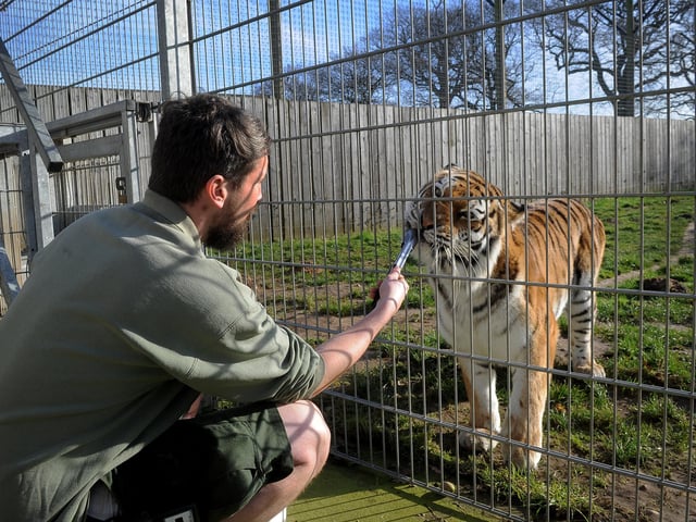 Take mum to visit the polar bears and tigers at the park. The park is still open but they have closed indoor play areas. If you book in advance adults tickets start at £19.