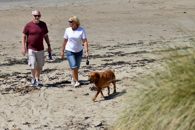 Dog walking at Beadnell Beach.