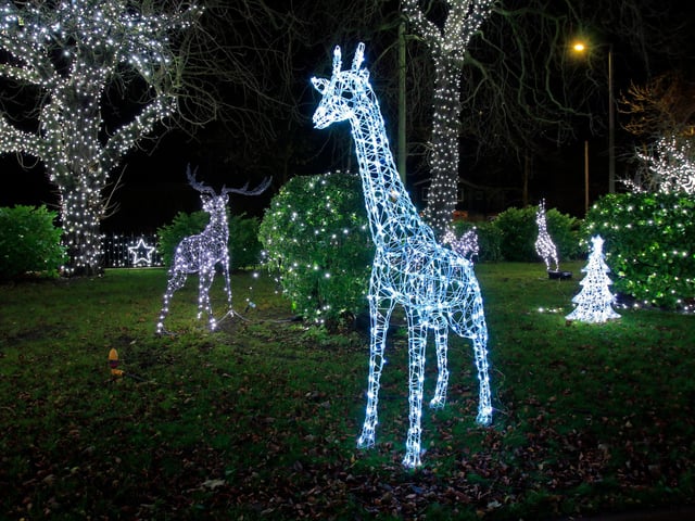 Festive Lights at Broadacres, Hatfield.