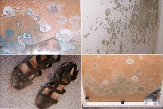 Costs to Sheffield Council for housing disrepair claims have doubled as the authority struggles to tackle its backlog.