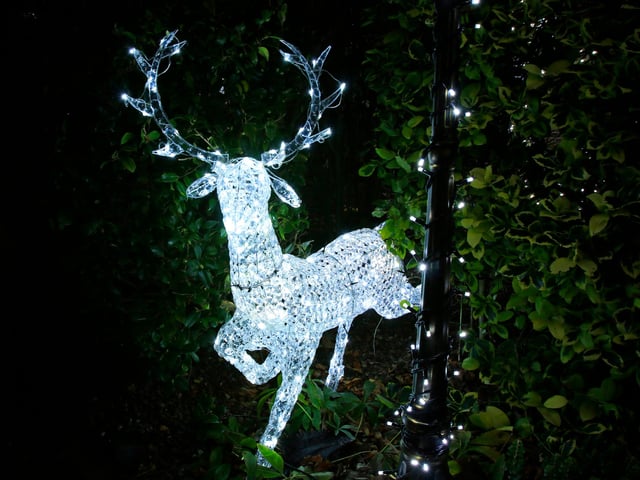Festive Lights at Broadacres, Hatfield.