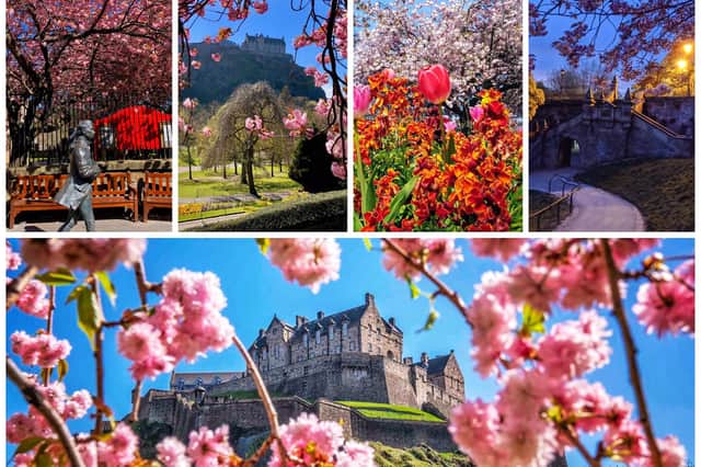 These are some of the best spring pictures from around Edinburgh