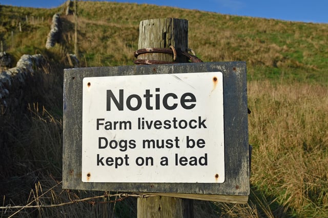 Some public areas in England and Wales are covered by Public Spaces Protection Orders which may require owners to keep dogs on a lead, stop dogs from going to certain areas, such as farmland or part of a park, clear up after dogs, and place a limit on the number of dogs you can have with you. Ignoring these rules could result in a £100 on the spot fine with a Fixed Penalty Notice, or up to £1,000 if the case goes to court.