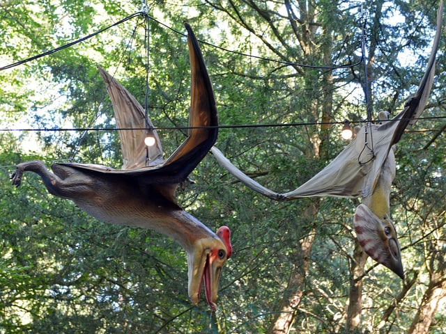 Pterodactyls overhead
