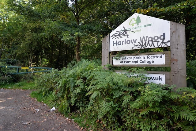 Mansfield's Harlow Wood is a popular spot for ramblers and dog-walkers. But it is also said to be haunted by Elizabeth Shepherd, a young girl who was murdered in 1817 by Charles Rotherham as she walked from Papplewick. Legend has it that if you touch a memorial stone, placed in the woods, she will appear.