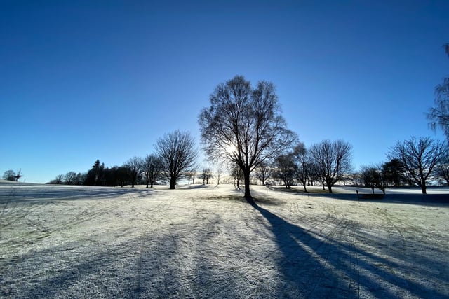 The sun emerged in the clear blue sky to backlight the bare trees on kings park Stirling
