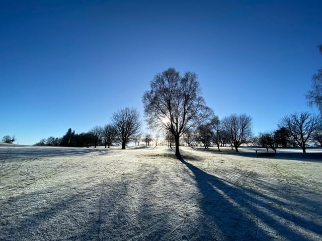 The sun emerged in the clear blue sky to backlight the bare trees on kings park Stirling
