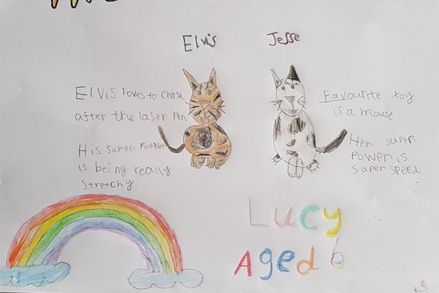 Lucy, aged 6, drew her cats Elvis and Jesse.