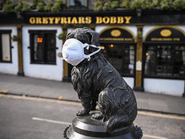 Bobby wears a mask at the start of the global pandemic in March 2020.