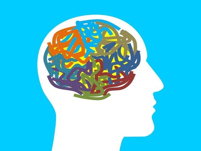 What people outwith Scotland think it means - Your brain. What people in Scotland know it means - To remember.