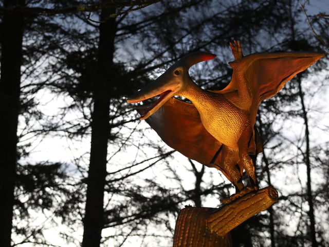 One of the illuminated dinosaurs at Blair Drummond Safari Park near Stirling, Scotland. Visitors can view the new illuminations installed in the Safari Park's new 'World of Dinosaur' exhibit.
