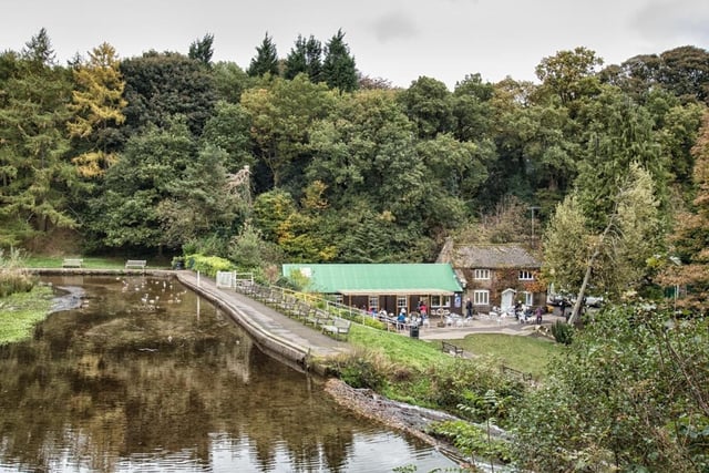 "This walk takes you through some of Sheffield's most beautiful parks and woodlands. Start at Forge Dam and follow the Porter Brook through Ecclesall Woods before finishing at Endcliffe Park."