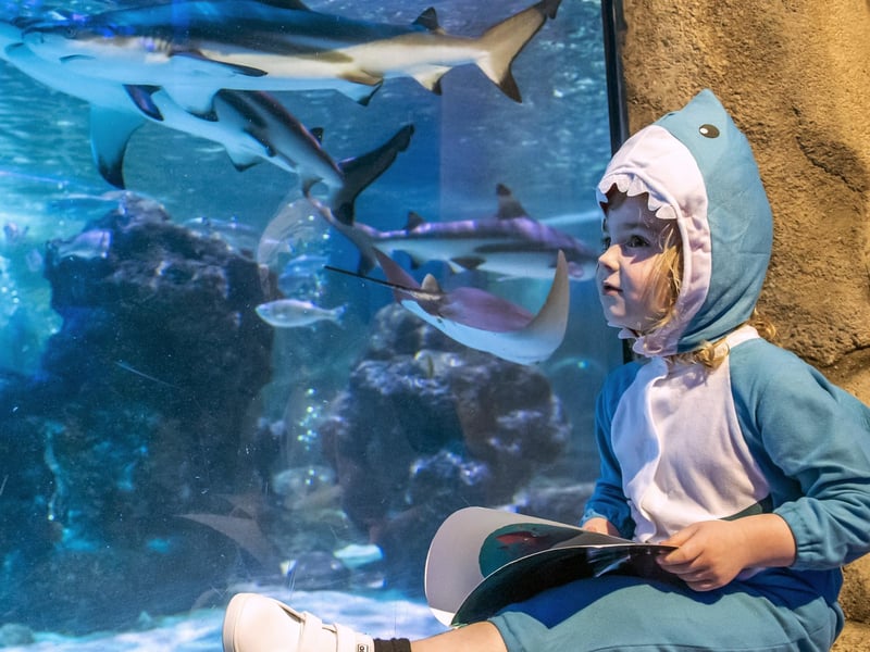 SeaLife Blackpool