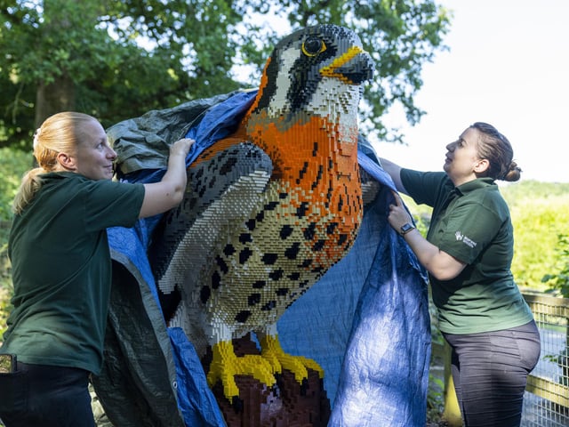 Marwell Zoo welcomes new SUPERSIZED! arrivals ahead of reopening
All Images ©Jason Brown Photography
www.Jasonbrownphotography.co.uk