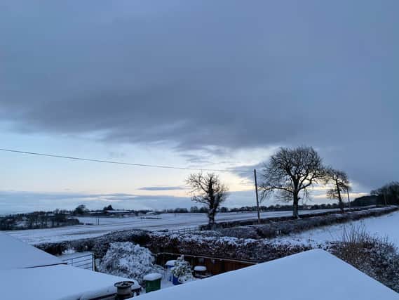 Here are 12 beautiful pictures from across Scotland as the snow continues to fall.