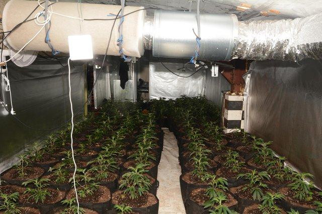 Cannabis worth £1 million was found by police in a former café above a supermarket on Petre Street, Burngreave. Officers recovered 1,000 plants.