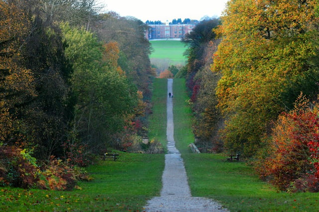 Boasting 1,500 acres of land, including open grassland, woodland, a walled garden and lakeside paths, Temple Newsam provides a vast outdoor landscape to enjoy.