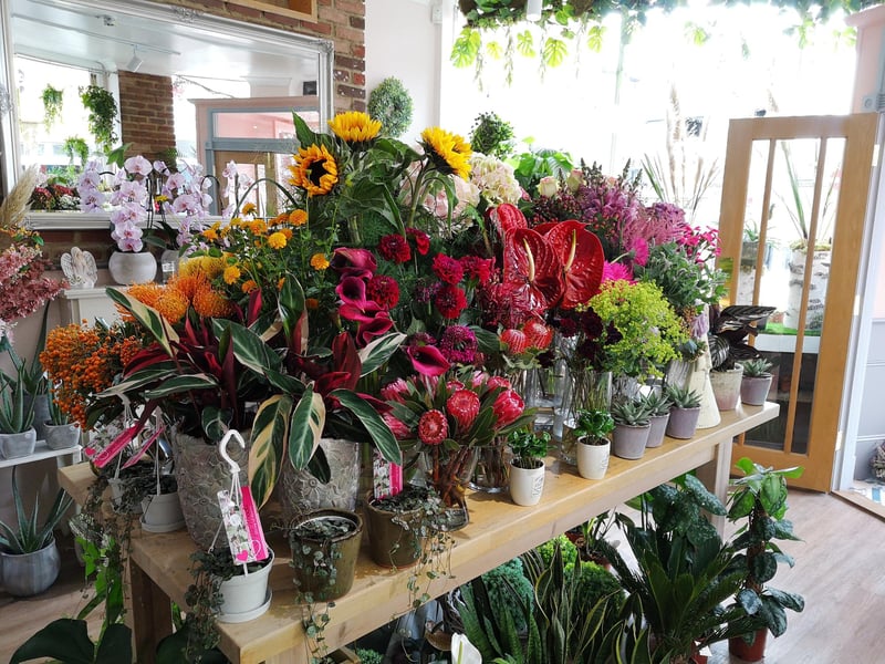 There are a number of fantastic independent florists in Portsmouth to pick up gifts for green-fingered family and friends. Pictured: Blossoms Boutique in Southsea