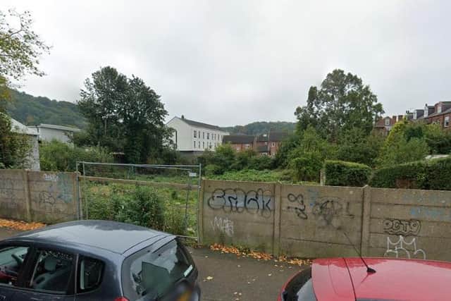 Plans have been resubmitted to Sheffield Council to turn this patch of land in Woodseats into retirement homes following a long battle with Japanese knotweed, developers said.