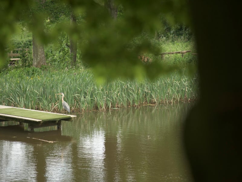 Look out for wildlife as you enjoy the view over the pond.
