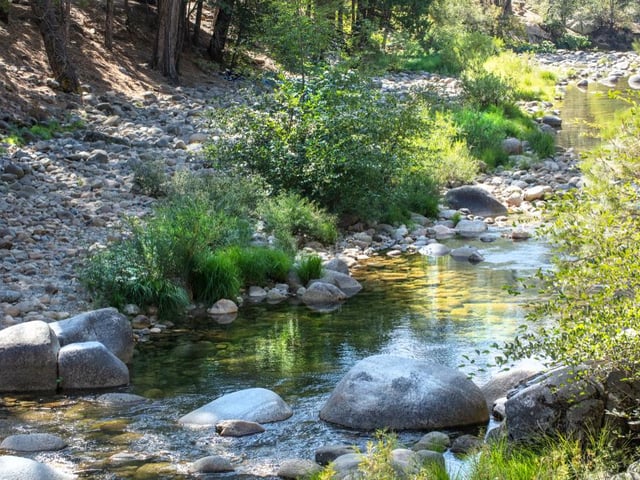 A brook or stream, also known as the water used in brewing. "Gang ower the burn..."