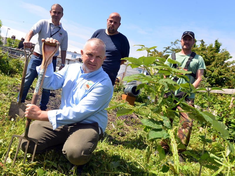 Sunny times in 2018 on a new allotment at Boldon Colliery. In the picture are Chris Convery, front, with Philip Brooks, Keith Parkin, and Chris Tilbrook but who can tell us more.