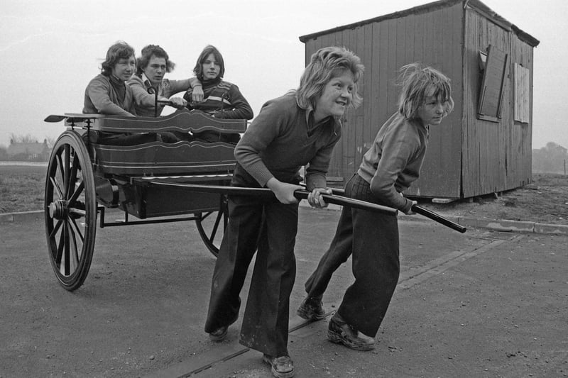 Hetton School pupils built a trap in 1976 and then recruited two fellow students to try it out with no horse available to test it. Pictured left to right are:  Dave Metcalf, 15; Frank Wilson, 16; Mike Ross, 15; Nigel Carr, 12; Peter Jackson, 12.