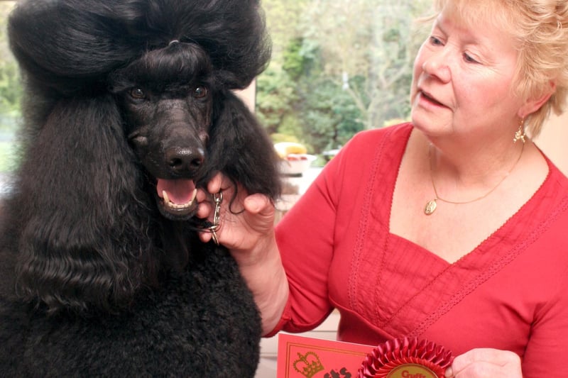 Proud Gill Newton, of Brimington, with her award-winning poodle which triumphed at Crufts in 2009.