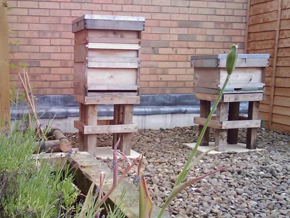 The hives at Crystal Peaks are now a well established part of the centre