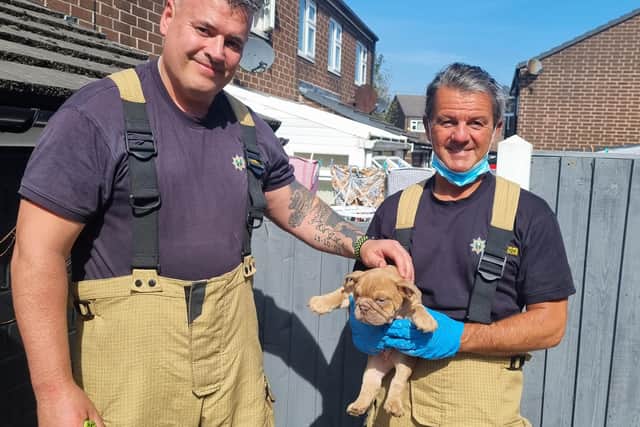 Firefighters with the newly rescued puppy