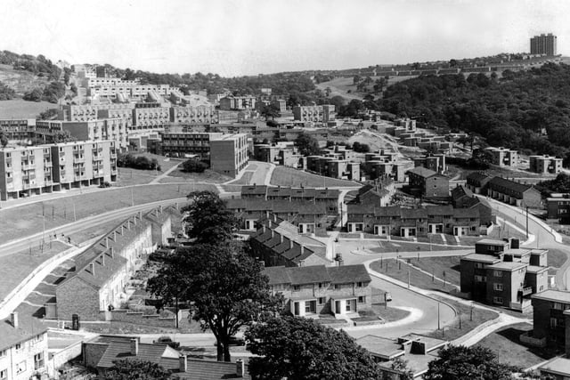 Gleadless Valley Estate in 1963, with Blackstock Road running from left to centre, Bankwood Road right foreground and Plowright Way in the centre. The great views were said to have led to some early residents dubbing it Little Switzerland