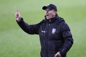 Tony Pulis says he never felt right as manager of Sheffield Wednesday. (Photo by George Wood/Getty Images)