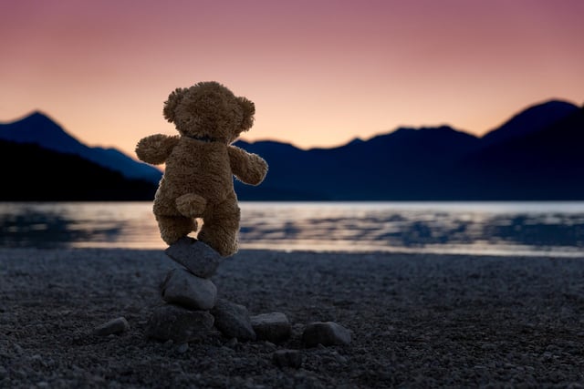 John James the teddy bear at sunset on the Bavarian lake Walchensee in Germany. See SWNS copy SWCAteddy:
These adorable teddy bears could be the world's most well-travelled cuddly toys - as their photographer owner has chronicled their adventures in 27 different countries. Christian Kneidinger, 57, has been travelling with his teddy bears, named John and Bob since 2014 - and his taken them to some of the world's most famous landmarks. The teddy bears have dressed up in traditional Emirati clothing to visit the Sultan's Palace in Oman, and have braved the cold on a glacier on Lofoten Island in Norway.