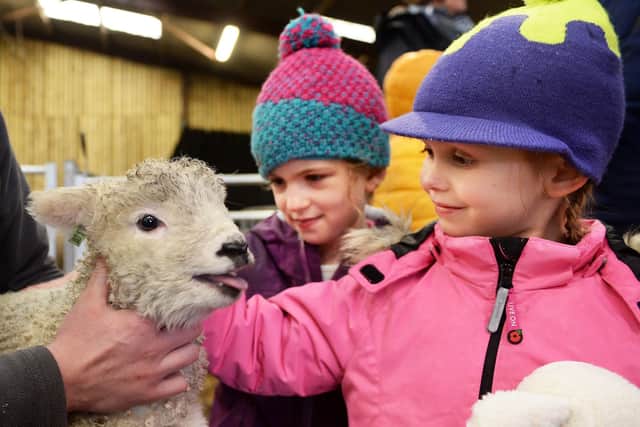 Blossom Ogden (right) and Elsie Lawrence are pictured meeting Alfie.