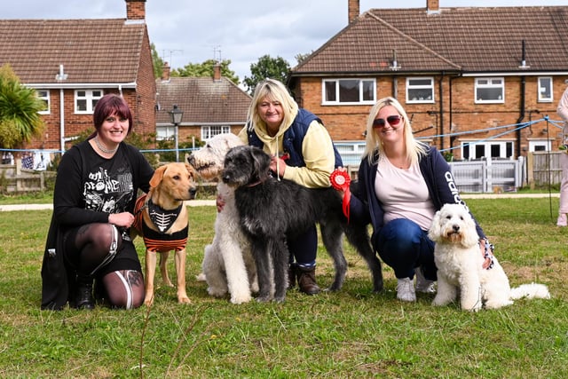 Dogs and their owners smiling for the camera.
Did you take part?