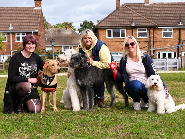 Dogs and their owners smiling for the camera.
Did you take part?