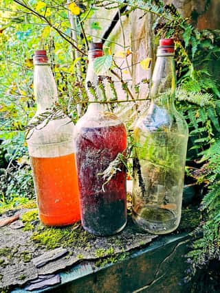 Several large bottles of what appear to be homemade alcohol were found at the site - leading Kyle to dub the property Alcohol Makers Farm.
