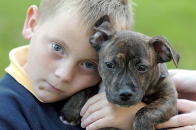 Dominic Youd, eight, of Richmond Park View, Handsworth, re united with his 10-week old puppy, 'Smithy' in 2004